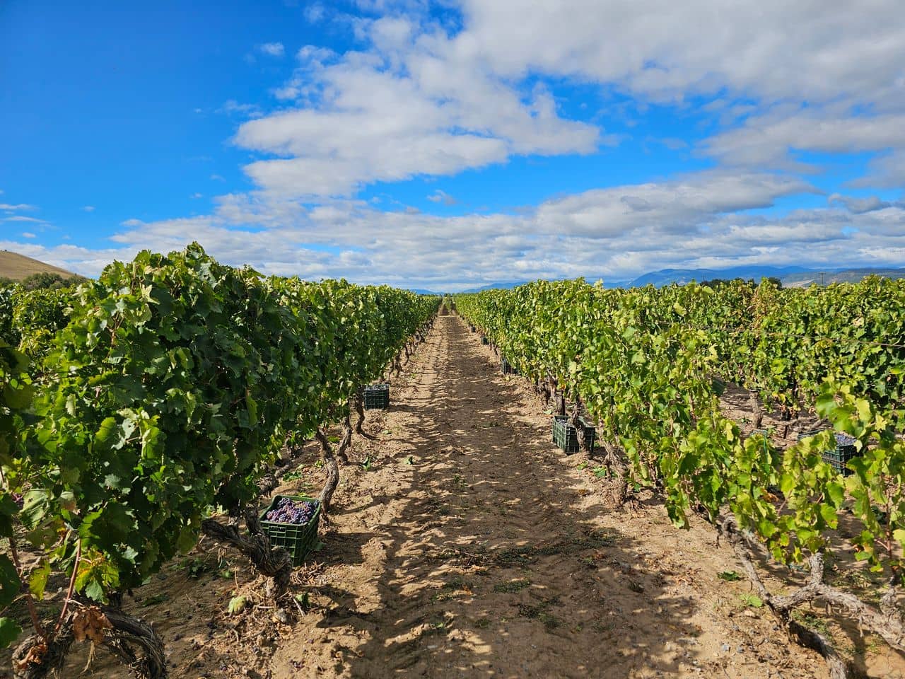 Ας γνωριστούμε