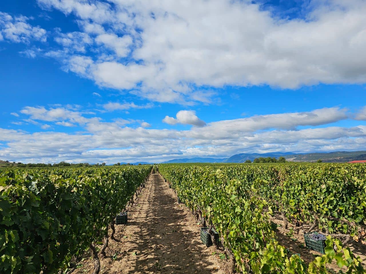Ας γνωριστούμε